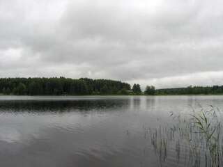Дома для отпуска Holiday Home Helmiranta Саариярви-1